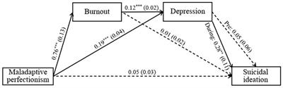 Burnout, depression, and suicidal ideation among physicians before and during COVID-19 and the contribution of perfectionism to physicians’ suicidal risk